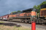 BNSF 990 Roster shot